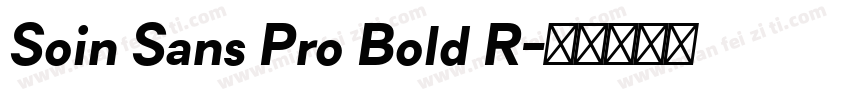 Soin Sans Pro Bold R字体转换